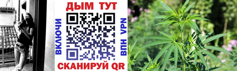 Конопля AK-47  Купить  Ленинск-Кузнецкий 